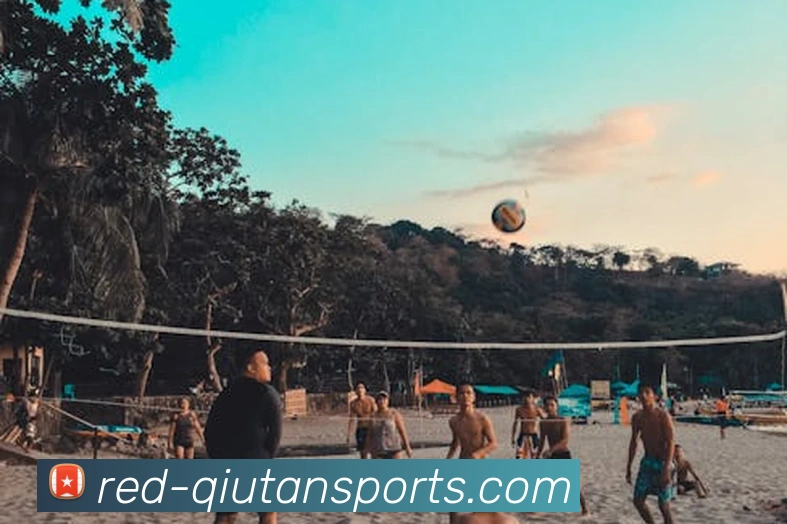 球探体育团队平台生态图