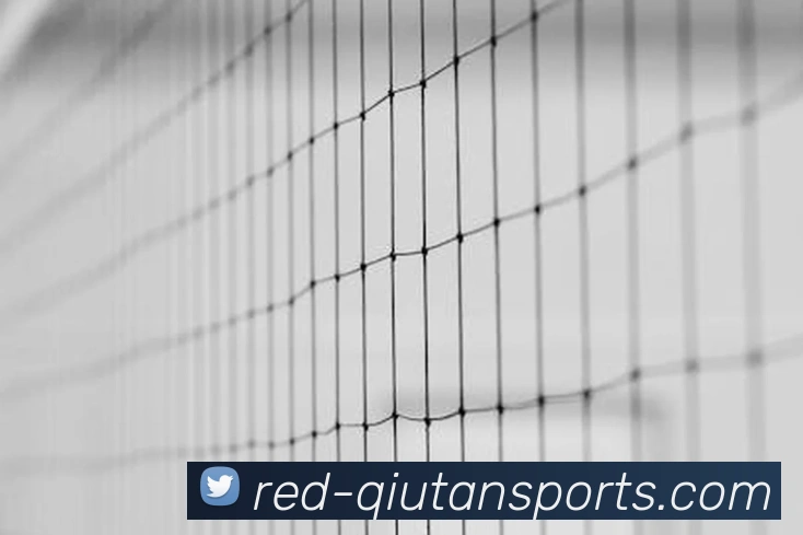 球探体育团队全站App